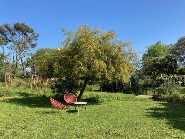 Un jardin dans la ville La Ciotat Extérieur photo
